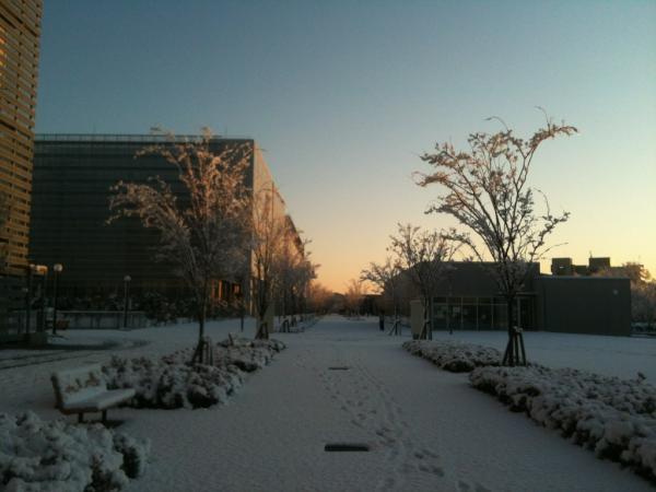 A snow day in Kashiwa Campus, the University of Tokyo