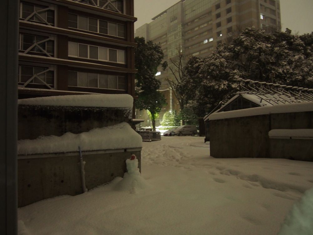 The University of Tokyo in snow