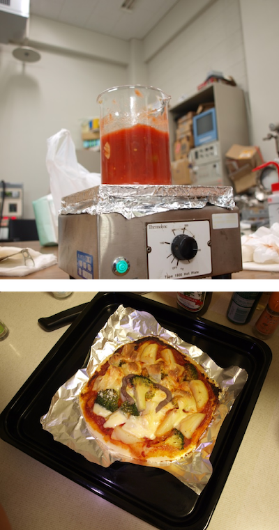 Pizza in a laboratory